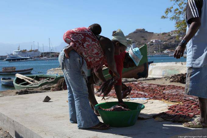 São Vicente, puerto pesquero Mindelo, trío de pescado - Cabo Verde
