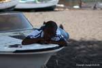 Santiago, Cidade Velha, niño curioso, Cabo Verde.