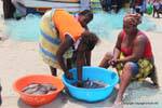 Santiago, Tarrafal, la preparación del pescado, Cabo Verde.