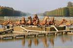 La fuente de Apolo en alzado frontal, Versalles