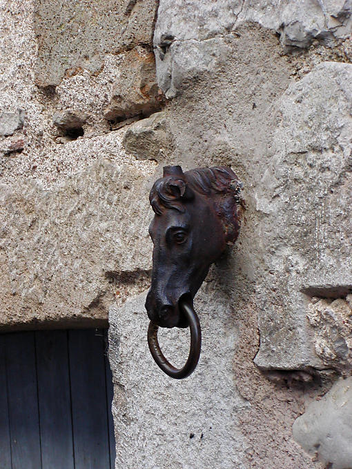 Caballo se une a una pared, Vézelay, Francia.