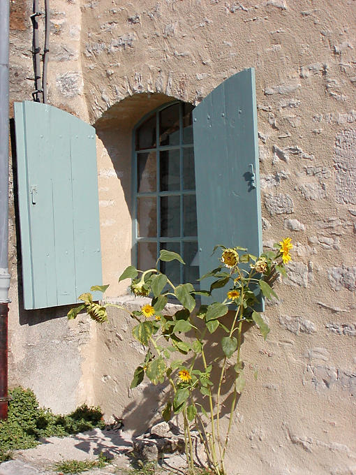 Girasoles en una calle en Vézelay, Francia.