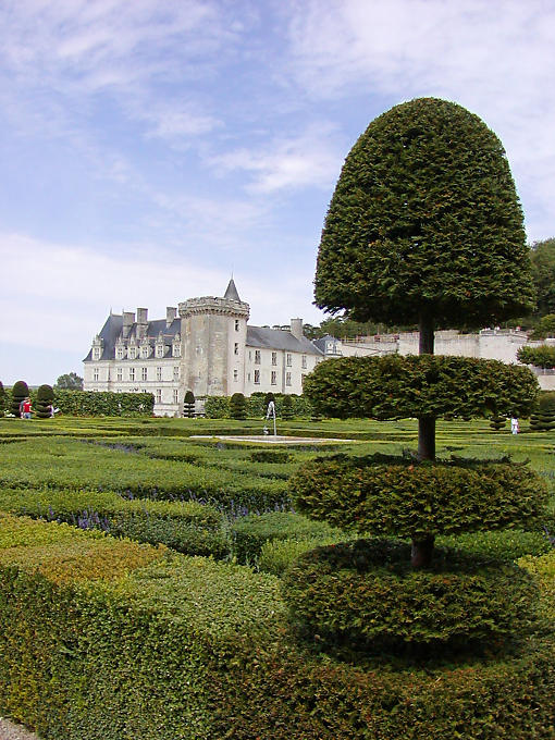 Topiary Ornamento del jardín, vista desde el segundo cuarto, el Château de Villandry, Francia.