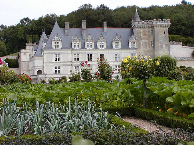 La unificación de color, huerta del Chateau de Villandry, Francia.