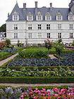 Col y tomate entre las rosas, Villandry, Francia.