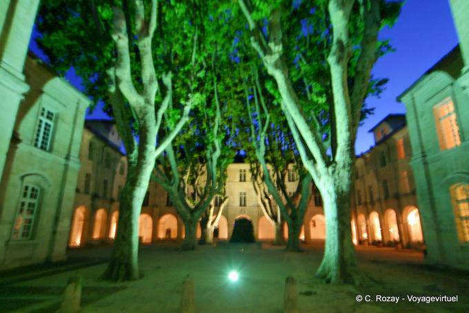 Avignon por la noche, Provence, Francia