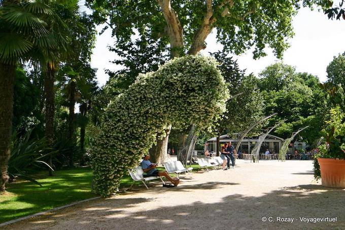 Jardín sombreado, Aviñón, Provence, Francia