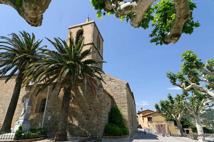 Grimaud, palmeras en la plaza de la Iglesia, Provence, Francia