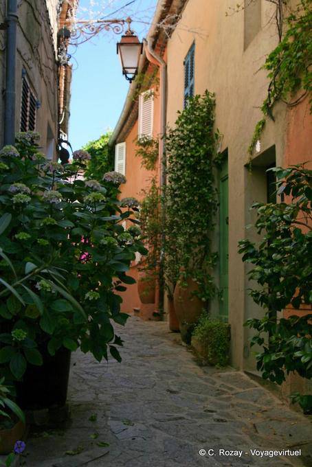 Ramatuelle, exuberancia en las sombras, Provence, Francia