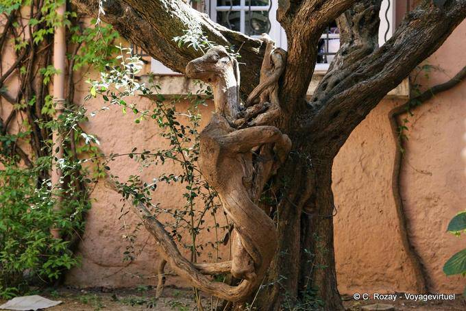 Saint-Tropez, la raíz de los animales, la escultura del árbol, Provence, Francia