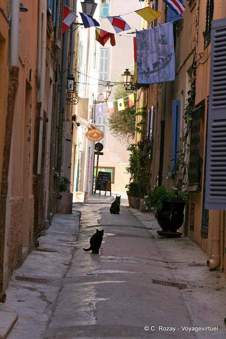 Saint-Tropez, gatos negros callejón, Provence, Francia