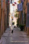 Saint-Tropez, gatos negros callejón, Francia.
