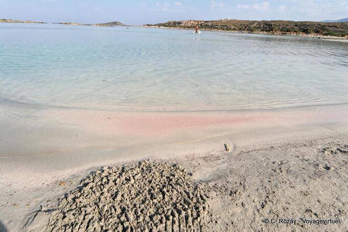 El ciervo isla, Elafonissi - Creta, Grecia
