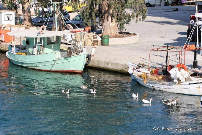 Patos en el canal, Georgioupoli - Creta, Grecia