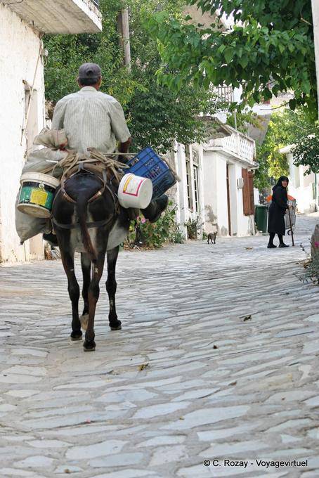 La vida cotidiana en una calle del pueblo, Oropedio Lassithiou - Creta, Grecia