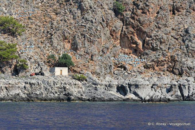 Urticaria número en la costa entre Sougia y Paleochora - Creta, Grecia