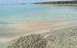 El ciervo isla, Elafonissi, Creta.