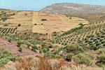 Mágico paisaje de las colinas junto a Kato Zakros, Creta.