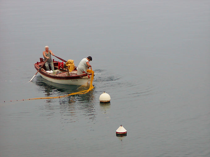 Pesca de la mañana, Starigrad, Croacia
