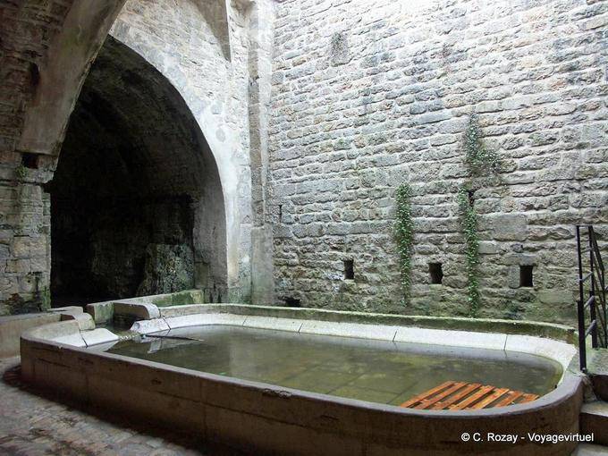 La Grande Fontaine, Fontaine abusivamente llamada lepra, Vaucluse resurgimiento Dole - Francia