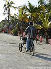 Triciclo y caña de azúcar en la playa, Boca Chica, Rep. Dominicana.