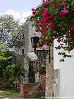 Callejón floreció en la zona colonial de Santo Domingo, Rep. Dominicana.