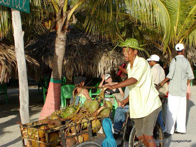 Cocos vendedor ambulante y su triciclo, Boca Chica, Rep. Dominicana