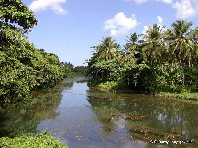 Río de la selva, Rep. Dominicana
