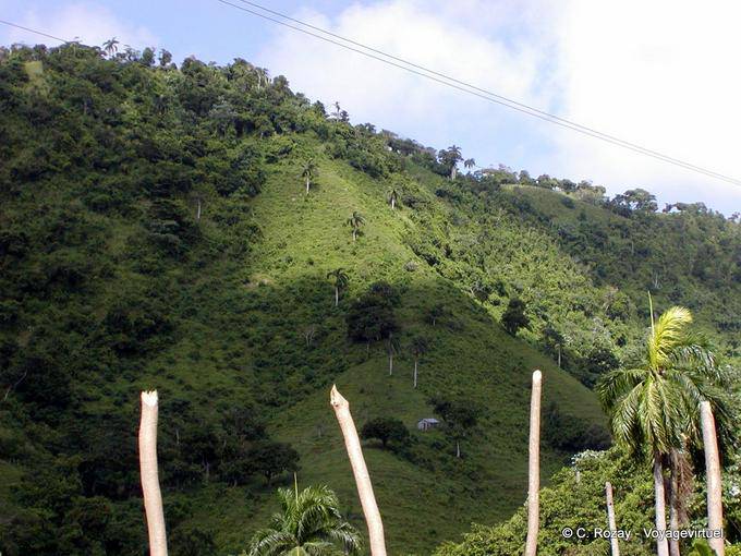 Paisaje desde el interior hacia El Seibo,, Rep. Dominicana