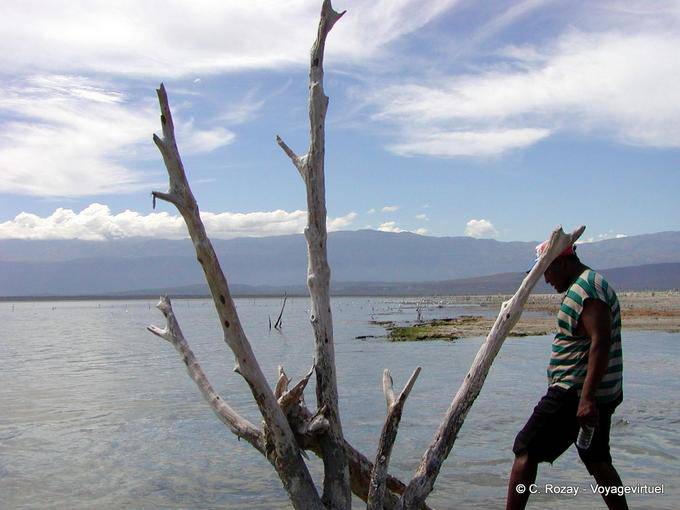 La soledad y la madera muerta, Lago Enriquillo, Rep. Dominicana