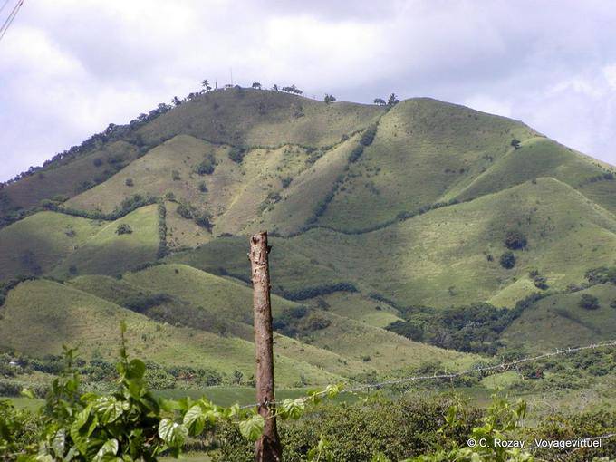 Paisaje trabajado por el hombre, Miches Hata Mayor, Rep. Dominicana