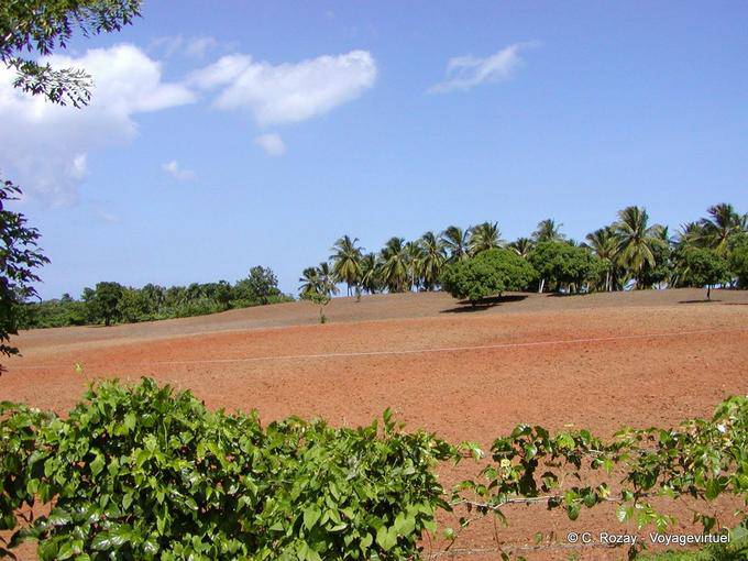 Tierra roja, Panes, Hata Mayor, Rep. Dominicana
