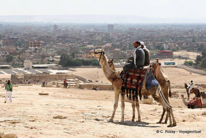 Camello delante de un panorama de El Cairo - Egipto
