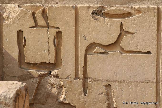 Relieves en la pared del complejo funerario, Saqqara - Egipto