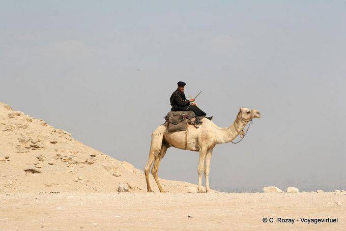 Camel Policía, Saqqara - Egipto