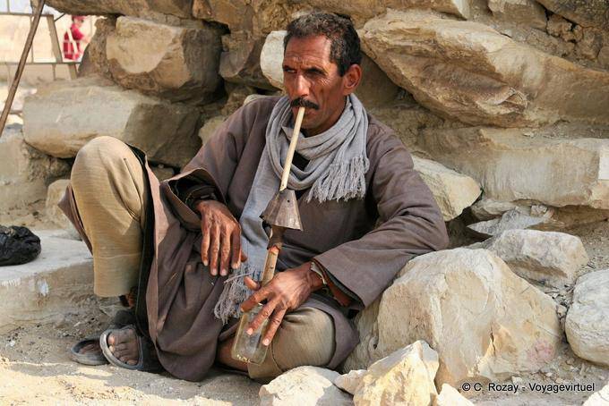 Camello con una pipa casera, Saqqara - Egipto