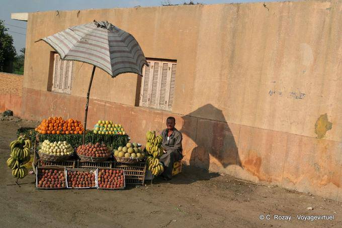 Pequeño mercado de frutas en el borde de la carretera, Saqqara, El Cairo - Egipto