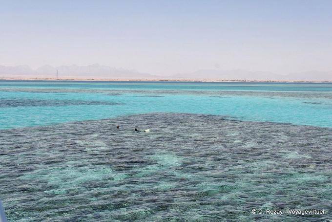 Colores del Mar Rojo, Hurghada - Egipto