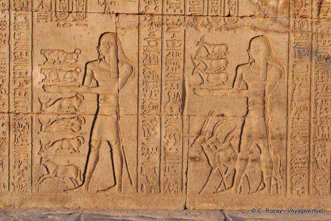 Representación gacelas y ganado ofrecidos, templo de Kom Ombo - Egipto