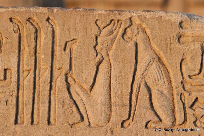 Zancos y dios Bastet gato sentado detrás del rey, alivio, templo de Kom Ombo - Egipto