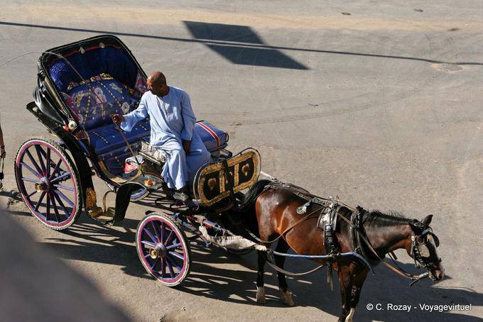 Caléche de Luxor, en espera del cliente - Egipto