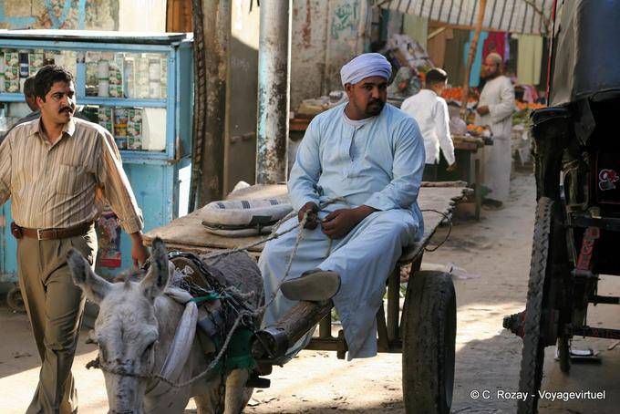 Haroun el Poussah en su carro, Luxor - Egipto