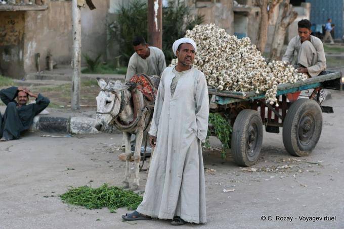 Ajo Marchand, Luxor - Egipto