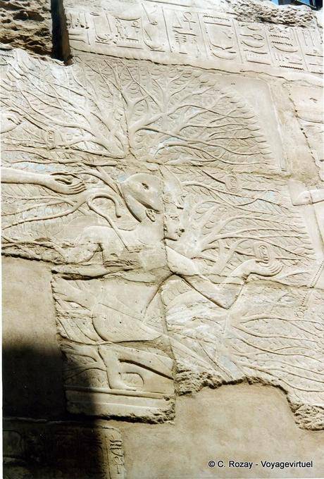 Thoth escribió el nombre de Seti los primeros frutos de la iched-árbol, el templo de Karnak - Egipto