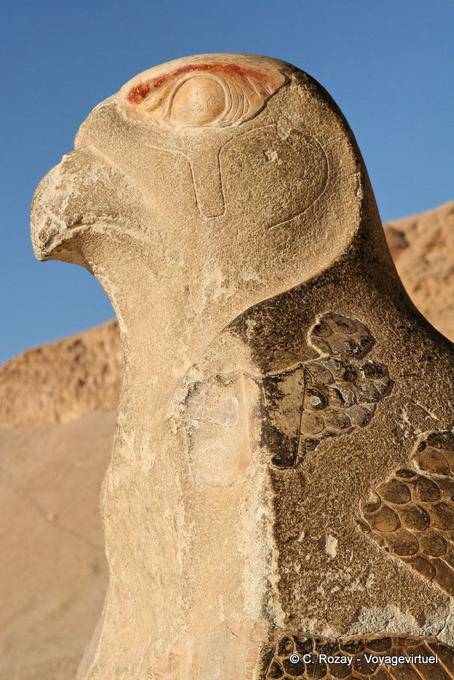 Jefe de una estatua gigante de Horus, Templo de Hatshepsut - Egipto