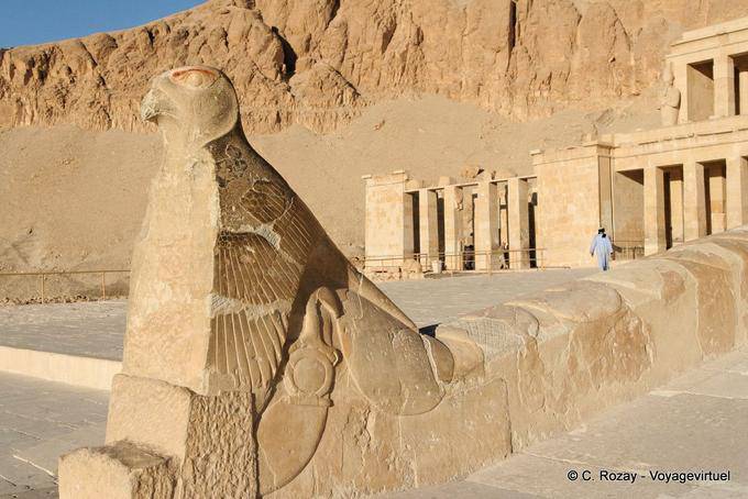 La estatua halcón dios Horus en la rampa del segundo patio del templo de Hatshepsut - Egipto