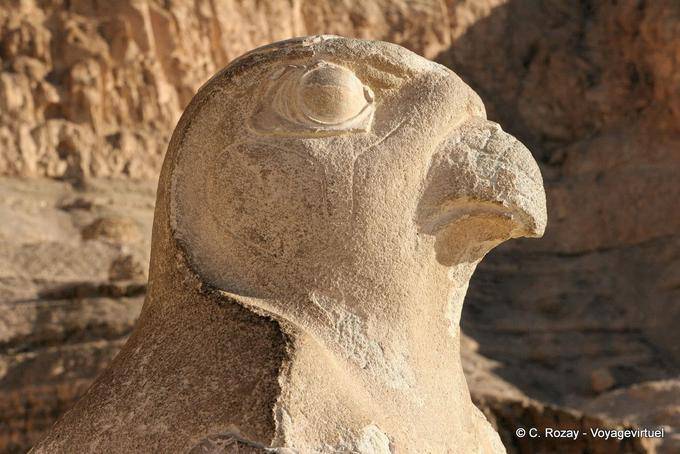 Hawk Perfil Horus, Templo de Hatshepsut - Egipto