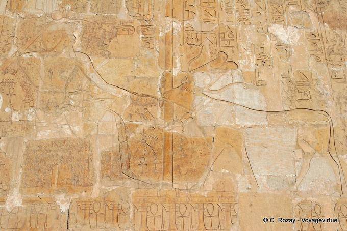 Representación Hathor vaca lamiendo la mano de Faraón, Templo de Hatshepsut - Egipto