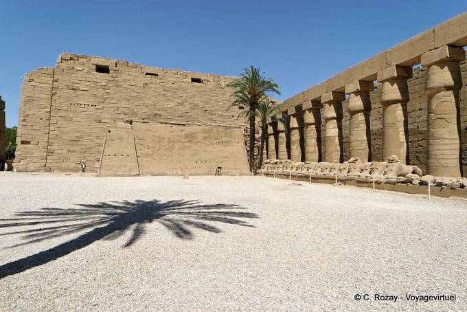 Bajo las palmeras en el patio frente al segundo pilono, el templo de Karnak - Egipto