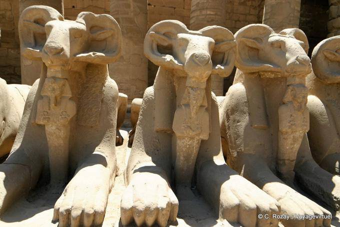 Patas de león de la Esfinge rams en el Faraón, el templo de Karnak - Egipto